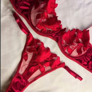 Embroidered bra-Ruby red