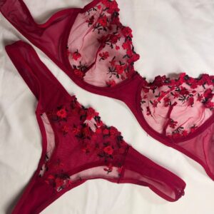 Embroidered Bras-Bold red